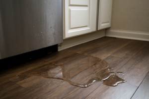 Dishwasher Leak Water Removal